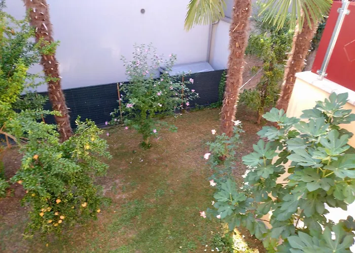 Grace\'S House